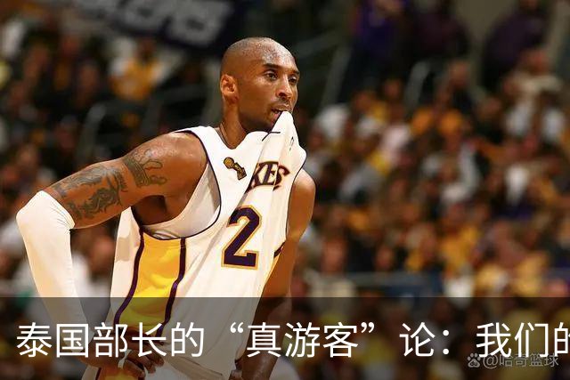 泰国部长的“真游客”论：我们的砥柱与讥讽
